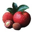 Lychee Apple